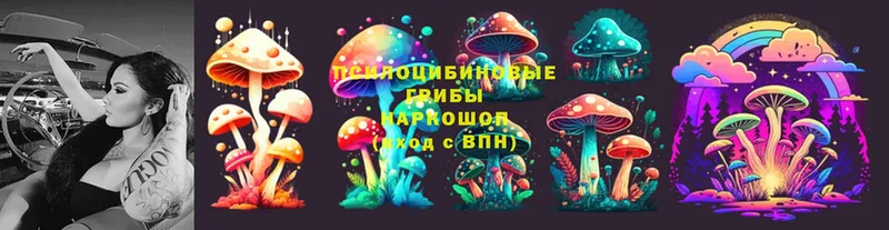 Галлюциногенные грибы MAGIC MUSHROOMS  дарк нет Telegram  Кизляр 